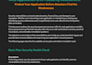 perform professional web application and API security audit